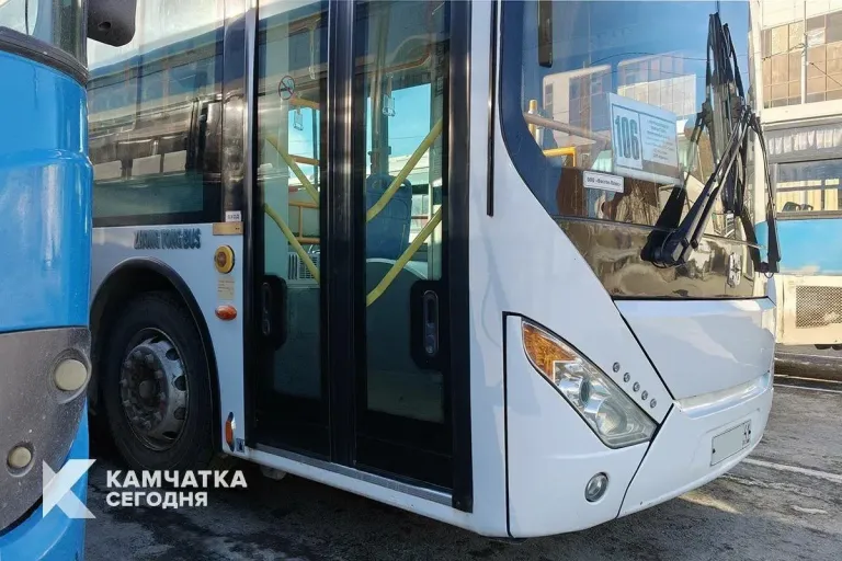 Дачный автобус №106 на Камчатке перестанет ходить с 1 ноября